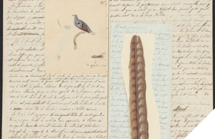 Archief van Coenraad Jacob Temminck (1778-1858)